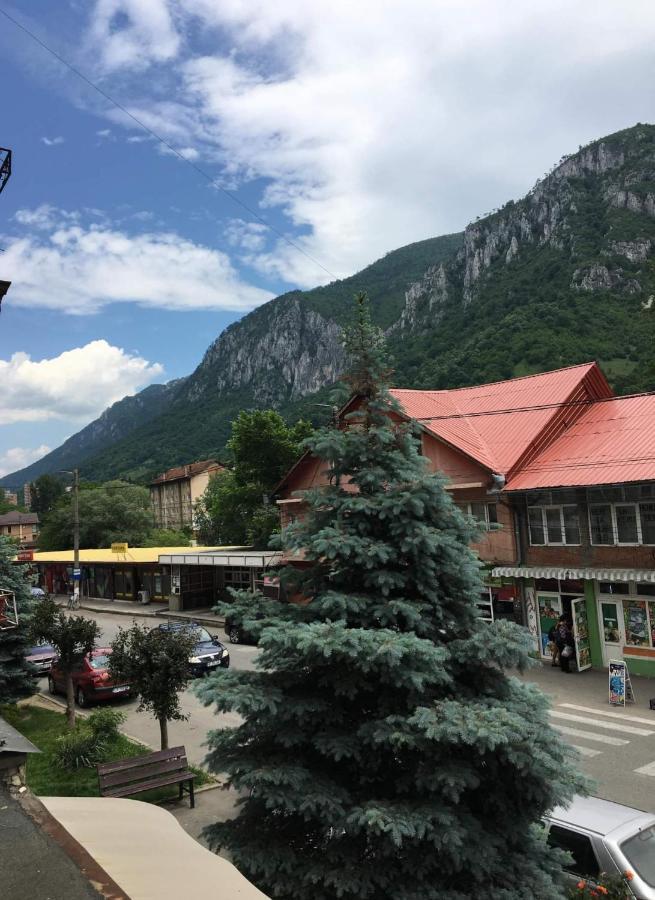 Apartament Sofy2 Baile Herculane Bagian luar foto