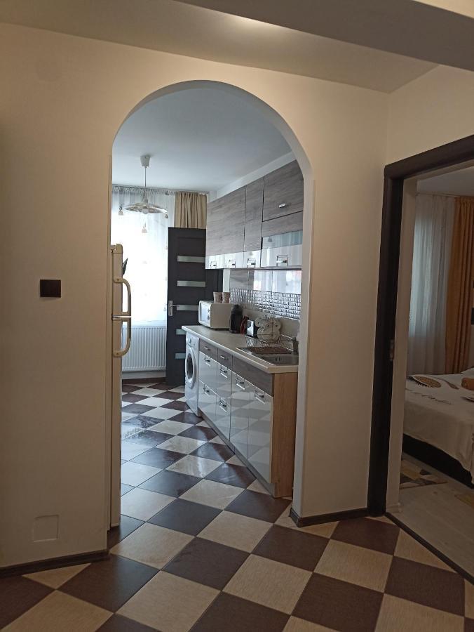 Apartament Sofy2 Baile Herculane Bagian luar foto