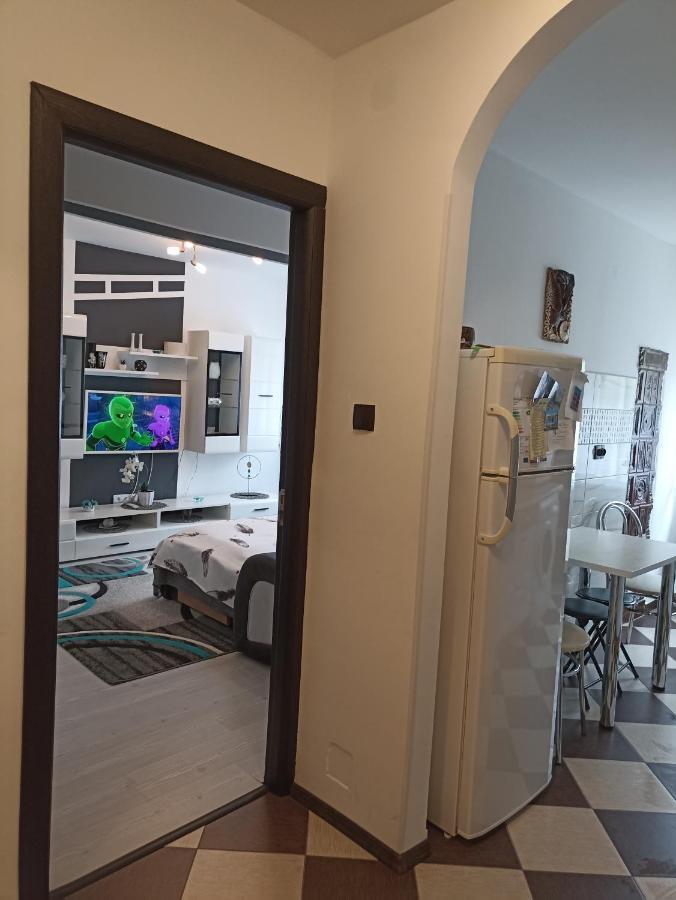 Apartament Sofy2 Baile Herculane Bagian luar foto