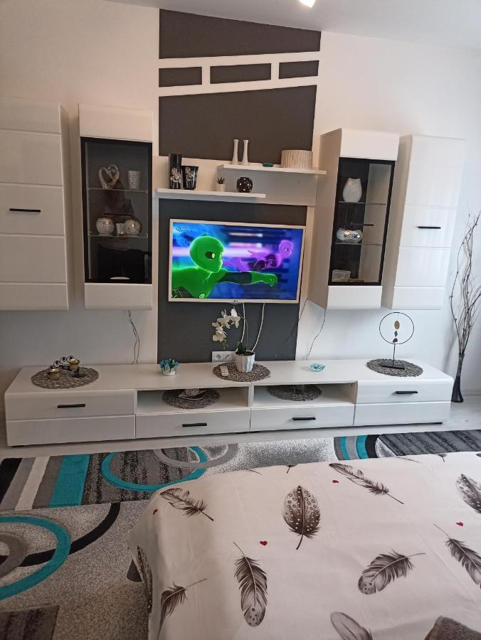 Apartament Sofy2 Baile Herculane Bagian luar foto