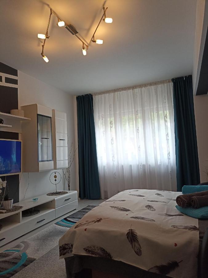 Apartament Sofy2 Baile Herculane Bagian luar foto