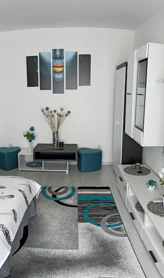 Apartament Sofy2 Baile Herculane Bagian luar foto